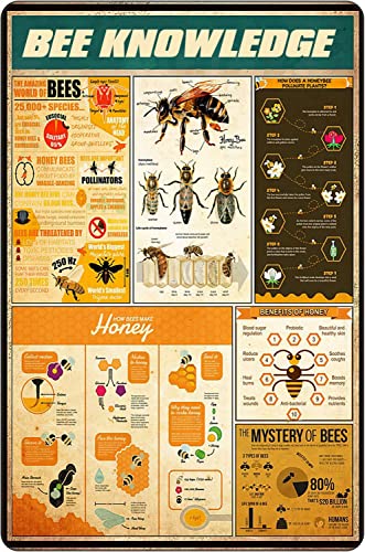 Metallschild Bienenwissen Biene Bienenfakten Wissen Türschild Personalisierte Bade Wand Dekoration Retro Sprüche Schilder Für Geschenke Deko Café S von 874