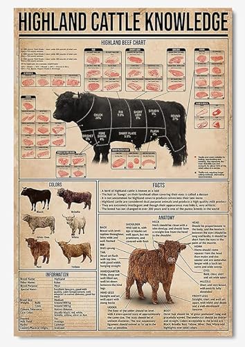 Metallschild Wissen Über Hochlandrinder Metall Schilder Lustiges Wanddekoration Generisch Blechschild Für Bar Küche Garage S von 874