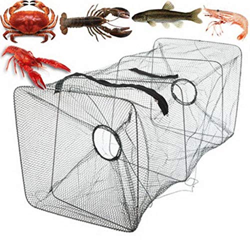 95sCloud Köderfischreuse Fisch Reuse Ragbare Fischernetz Faltbarer Fishing Köderfischreuse Fisch-Reuse Krebsreuse Fisch Fischernetz Trap Network Faltbare Fischernetz Tackle Metall Nylon 95sCloud Köderfischreuse Fisch Reuse Ragbare Fischernetz Faltbarer Fishing Köderfischreuse Fisch-Reuse Krebsreuse Fisch Fischernetz Trap Network Faltbare Fischernetz Tackle Metall Nylon von 95sCloud