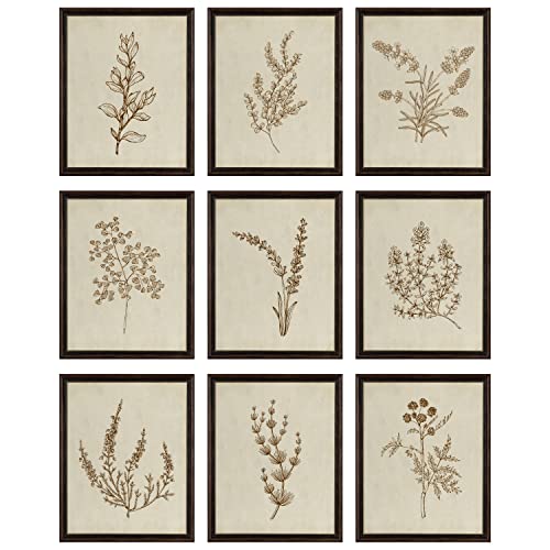 97 DECOR Botanische Wandkunst – Vintage-Botanische Drucke, Pflanzenkunst-Wanddekoration, neutrale florale Wandkunstbilder, beige Blumen-Poster, Gemälde, Blumenskizze, Zeichnungsgalerie für von 97 Decor