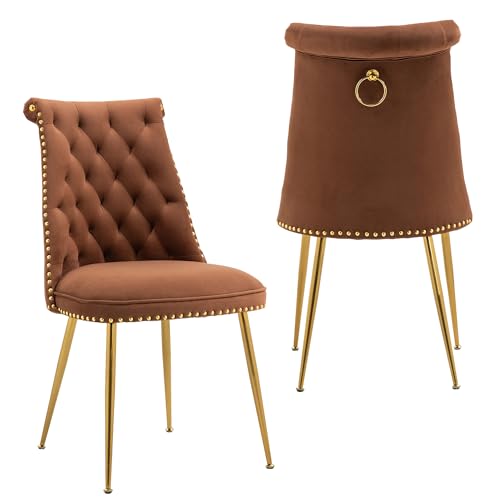 A ALFRESCOOL 2er Set Esszimmerstühle, Gepolsterter Stühle Esszimmer aus Samtstoff, Küchenstuhl mit Rückenlehne, Armloser Essstühle mit Ziersteppung, für Esszimmer, Wohnzimmerstühle -Braun von A ALFRESCOOL