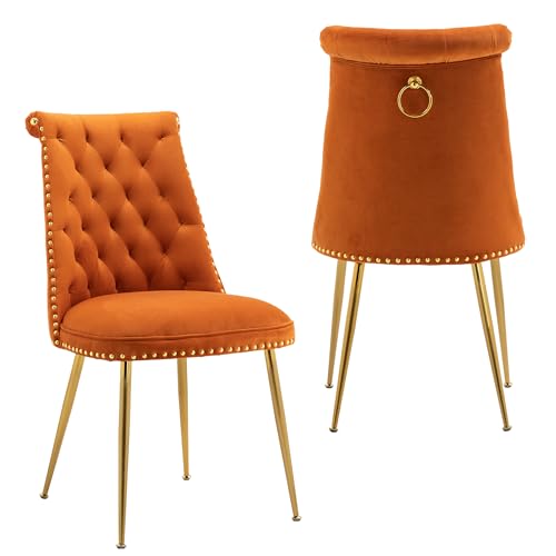 A ALFRESCOOL 2er Set Esszimmerstühle, Gepolsterter Stühle Esszimmer aus Samtstoff, Küchenstuhl mit Rückenlehne, Armloser Essstühle mit Ziersteppung, für Esszimmer, Wohnzimmerstühle -Orange von A ALFRESCOOL
