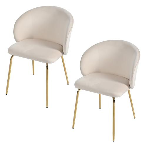 A ALFRESCOOL Esszimmerstühle 2er Set aus Samt, Küchenstuhl Polsterstuhl mit Offener Rückenlehne,Armlehnen,Gepolstertem Sitz, Metallbeinen, Beige Stühle für Wohnzimmer, Esszimmer, Küche von A ALFRESCOOL