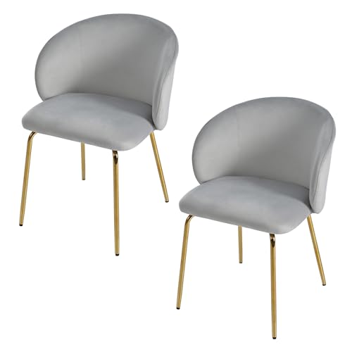 A ALFRESCOOL Esszimmerstühle 2er Set aus Samt, Küchenstuhl Polsterstuhl mit Offener Rückenlehne,Armlehnen,Gepolstertem Sitz, Metallbeinen, Grau Stühle für Wohnzimmer, Esszimmer, Küche von A ALFRESCOOL