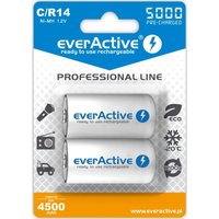 A Place For Everything - Wiederaufladbare Batterien everActive Ni-MH R14 c 5000 mAh Professional Line von A PLACE FOR EVERYTHING