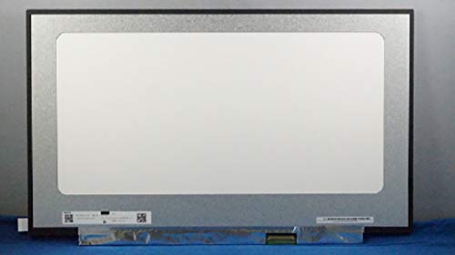 Replacement Screen for ASUS Zephyrus S GX701GX-EV016R ROG Zephyrus S GX701GX N173HCE-G33 Rev.C1 B173HAN04.0 17.3" FHD Display IPS LED LCD Panel NO Brackets 40 PIN eDP 144Hz Matte von A Plus Screen