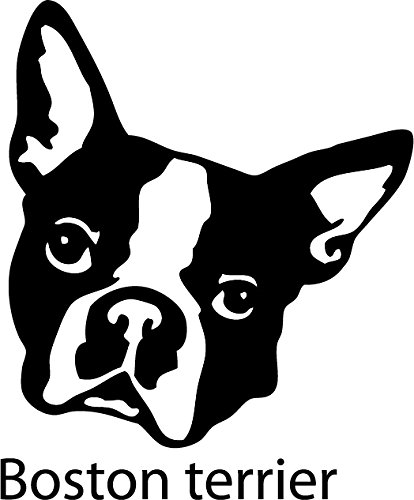 Aufkleber/Wandtattoo Hund - Boston terrier - 20cm - Farbauswahl verfügbar! (20cm) von A&D design Deutschland