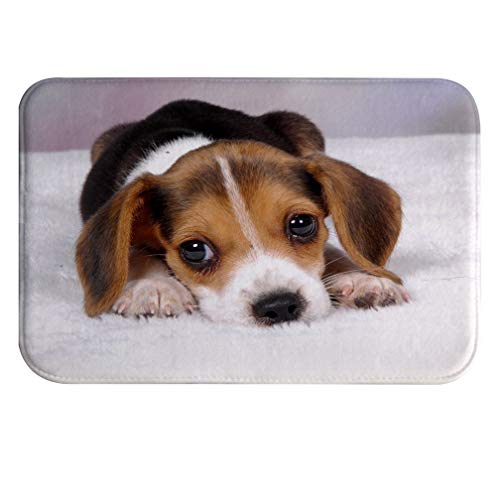 A.Monamour Badematten Badteppiche Badvorleger Niedlichen Beagle Welpen Hund Liegend Auf Dem Boden Tierliebhaber Themed Flanell rutschfeste Badematte Bad Matten Boden Teppich Teppich Teppiche 40x120cm von A.Monamour