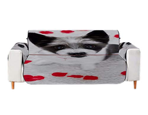 A.Monamour Sofabezug Sofaüberwurf Sesselschoner Niedliche Pudelhund Romantische Rote Rosenblätter Auf Grund Samt Stuhl Abdeckung Sofa Abdeckung Sofaschoner Sofahusse Sofaschonbezug Sofaschutz von A.Monamour