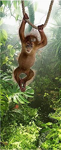 A.Monamour Türtapete Selbstklebend Türfolie Türposter 3D Süßer Baby Sumatra-Orang-Utan Der Im Regenwald Am Seil Hängt Vinyl Folie Türdeko Tapete Wandbild Türaufkleber Türtattoo 77 x 200 cm von A.Monamour