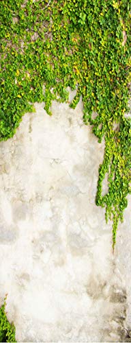 A.Monamour Türtapete Selbstklebend Türfolie Türposter 3D Zement Betonwand Bedeckt Durch Grünen Efeu Pflanzen Hintergrund Vinyl Folie Türdeko Tapete Wandbild Türaufkleber Türtattoo 90 x 200 cm von A.Monamour