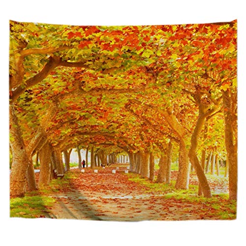A.Monamour Wanddekor Wandbild Vorhang Wandteppiche Herbst Jahreszeit Gelb Orange Ahornblätter Bäume Entlang Der Weg Natur Landschaft Fotodruck Polyester Tuch Wandbehang Für Wohnzimmer 180x230 cm A.Monamour Wanddekor Wandbild Vorhang Wandteppiche Herbst Jahreszeit Gelb Orange Ahornblätter Bäume Entlang Der Weg Natur Landschaft Fotodruck Polyester Tuch Wandbehang Für Wohnzimmer 180x230 cm von A.Monamour