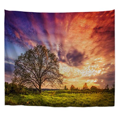 A.Monamour Wanddekor Wandteppiche Bewölktem Himmel Frühling Sonnenaufgang Über Ländlichen Wiese Baum Natur Landschaft Fotografie Bild Stoff Wandbehang Tapisserie Wandbild Dekore 180x230cm von A.Monamour