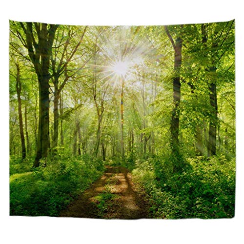 A.Monamour Wanddekor Wandteppiche Sonnenstrahlen Durch Buchen Bäume Wald Fußweg Straße Natur Landschaft Bild Stoff Wandbehang Tapisserie Wandkunst Dekore Tischdecke Bettdecke 180x230cm von A.Monamour