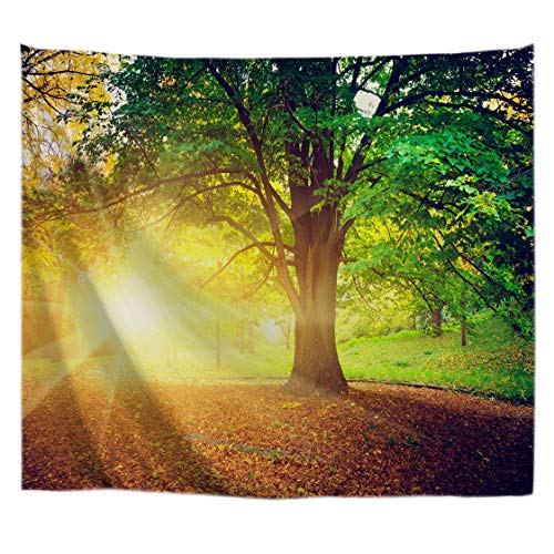 A.Monamour Wanddekor Wandteppiche Sonniger Morgen Sonnen Durch Großen Baum Wald Im Park Natur Landschaft Bild Drucken Stoff Wandbehang Tapisserie Wandbild Kunst Dekore 180x200cm von A.Monamour