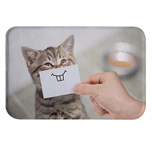 A.Monamour rutschfest Saugfähig Badematte Lustige Kätzchen Katze Mit Lächeln Auf Karton Tier Thema Weich Flanell Badezimmerteppich Badteppich Badvorleger Badewanne Dusche Duschvorleger 40x60cm A.Monamour rutschfest Saugfähig Badematte Lustige Kätzchen Katze Mit Lächeln Auf Karton Tier Thema Weich Flanell Badezimmerteppich Badteppich Badvorleger Badewanne Dusche Duschvorleger 40x60cm von A.Monamour