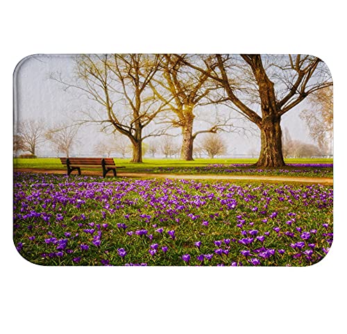 A.Monamour rutschfest Saugfähig Badematte Violett Blühende Krokusblüten Bäume Im Park Garten Frühling Natur Landschaft Flanell Badezimmerteppich Badteppich Badvorleger Badewanne Dusche Duschvorleger A.Monamour rutschfest Saugfähig Badematte Violett Blühende Krokusblüten Bäume Im Park Garten Frühling Natur Landschaft Flanell Badezimmerteppich Badteppich Badvorleger Badewanne Dusche Duschvorleger von A.Monamour