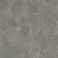 Ethno Vliestapete silber grau Afrikanische Tapete dunkelgrau für Wohnzimmer und Küche Vlies Wandtapete mit Teller Kreis Design - Grey, Gold, Black von BRICOFLOR