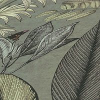 A.S. Création Waldtapete Grün 10.05 m x 0.53 m 64 / 32 cm (versetzt) Vlies waschbeständig gut lichtbeständig restlos trocken abziehbar von A.S. CREATIONS