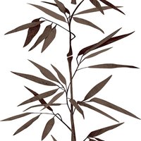 A.s.creations - a.s. Creation Pop.up Panel 942732 Folie selbstklebend Naturoptik 0.35 m x 2.5 m Braun - Braun von A.S. CREATIONS