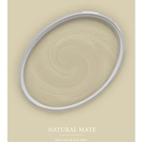 Wandfarbe Natur beige ideal für Büro und Schlafzimmer Moderne Farbe für Innen in 2,5 und 5 l Dispersionsfarbe matt Wandfarbe Grün 5l Seidenmatt - Grün von BRICOFLOR