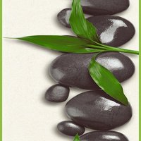 Wellness Tapete Blätter und Steine | Asiatische Wandtapete selbstklebend in Weiß Schwarz Grün | Panel Vinyltapete mit Bambusblätter für Badezimmer von A.S. CREATIONS