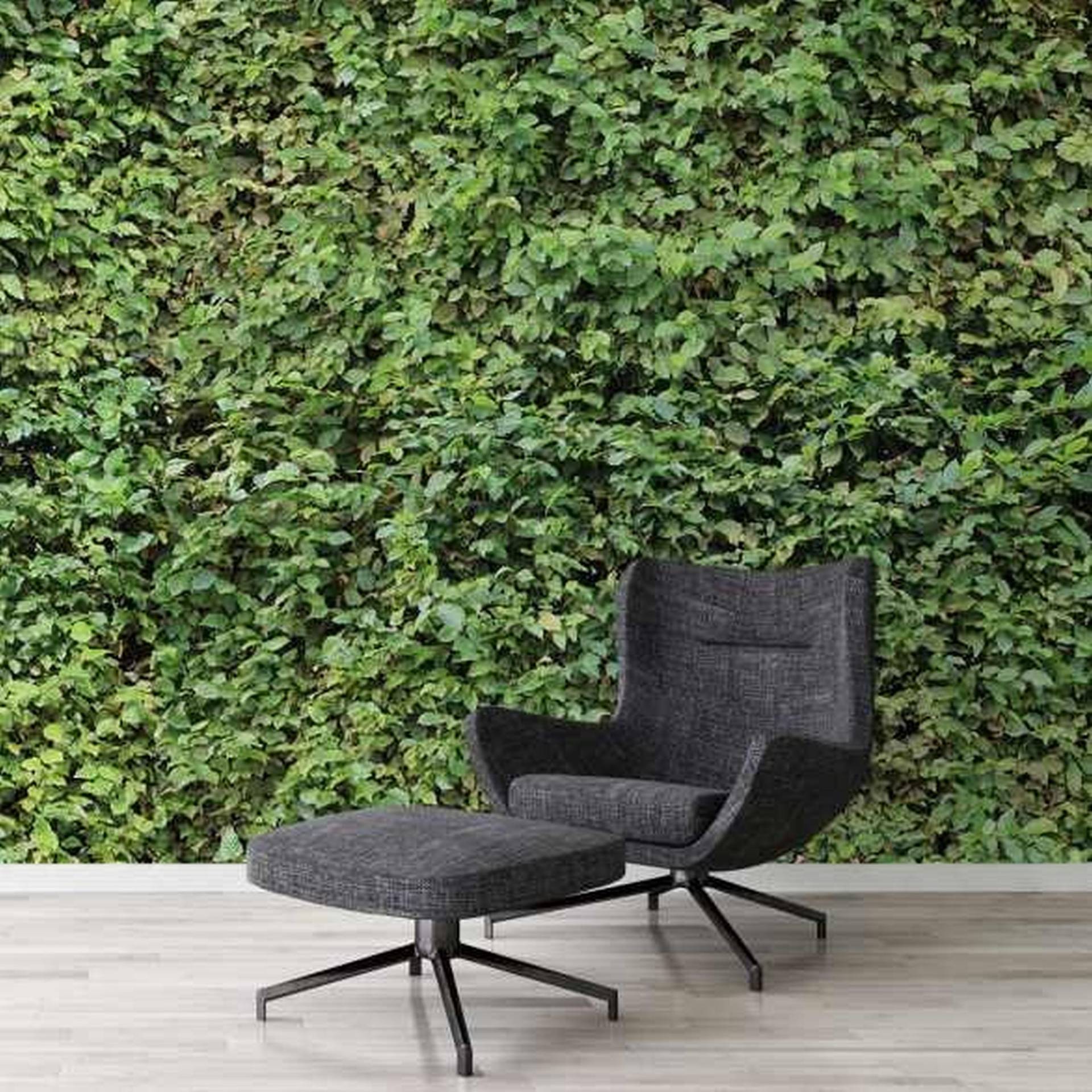 A.S. Creation | AP Digital 3 | AS471807 | Fototapete | Vlies | 400 x 270 cm | Wald & Pflanzen | Grün A.S. Creation | AP Digital 3 | AS471807 | Fototapete | Vlies | 400 x 270 cm | Wald & Pflanzen | Grün von A.S. Creation