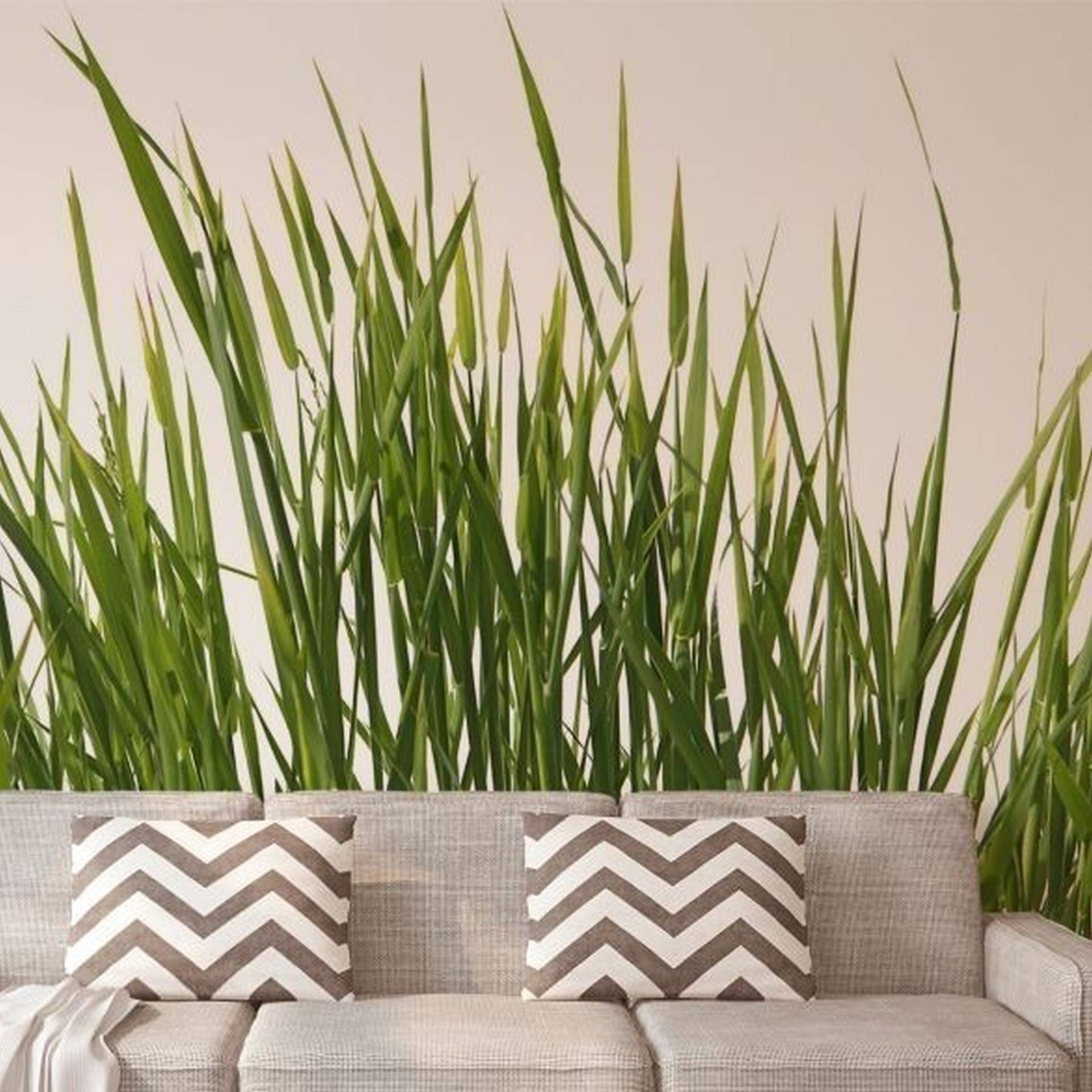 A.S. Creation | AP Digital 3 | AS471824 | Fototapete | Vlies | 400 x 270 cm | Wald & Pflanzen | Grün A.S. Creation | AP Digital 3 | AS471824 | Fototapete | Vlies | 400 x 270 cm | Wald & Pflanzen | Grün von A.S. Creation