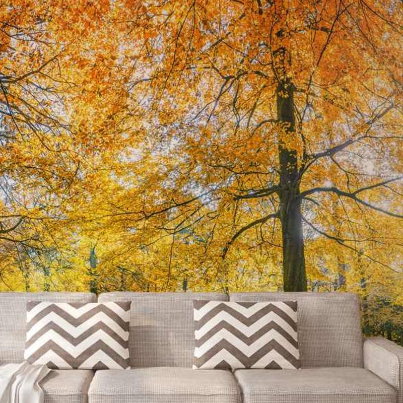 A.S. Creation | AP Digital 3 | AS471832 | Fototapete | Vlies | 600 x 250 cm | Wald & Pflanzen A.S. Creation | AP Digital 3 | AS471832 | Fototapete | Vlies | 600 x 250 cm | Wald & Pflanzen von A.S. Creation