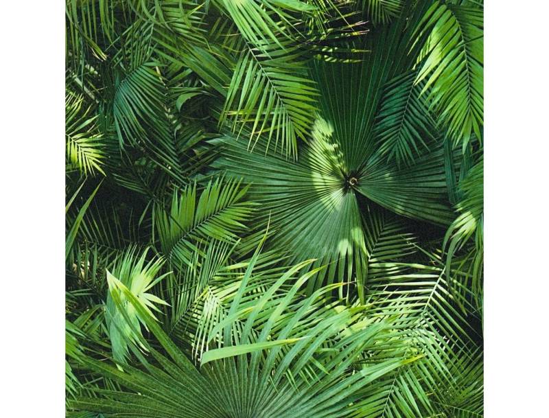A.S. Création Bordüre Beige Mustertapete Natur Landschaft Ansatzfrei 368441 Pop.up Panel 3D von A.S. Création