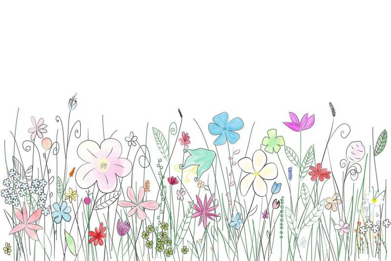 A.S. Création Fototapete A.S. Création XXL 5 Fototapete, Blumen, 4m x 2,67m von A.S. Création
