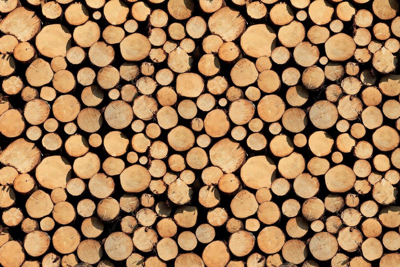 A.S. Création Fototapete A.S. Création XXL 5 Fototapete, Holzstämme, 4m x 2,67m A.S. Création Fototapete A.S. Création XXL 5 Fototapete, Holzstämme, 4m x 2,67m von A.S. Création
