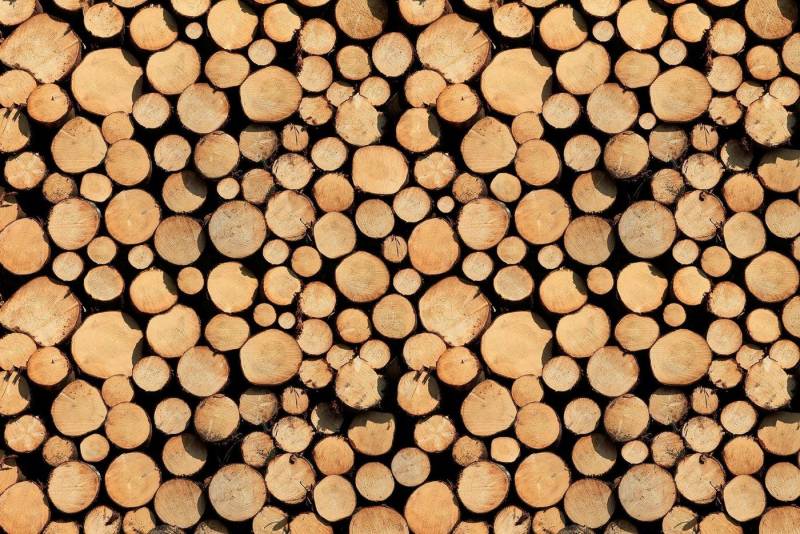 A.S. Création Fototapete A.S. Création XXL 5 Fototapete, Holzstämme, 4m x 2,67m A.S. Création Fototapete A.S. Création XXL 5 Fototapete, Holzstämme, 4m x 2,67m von A.S. Création