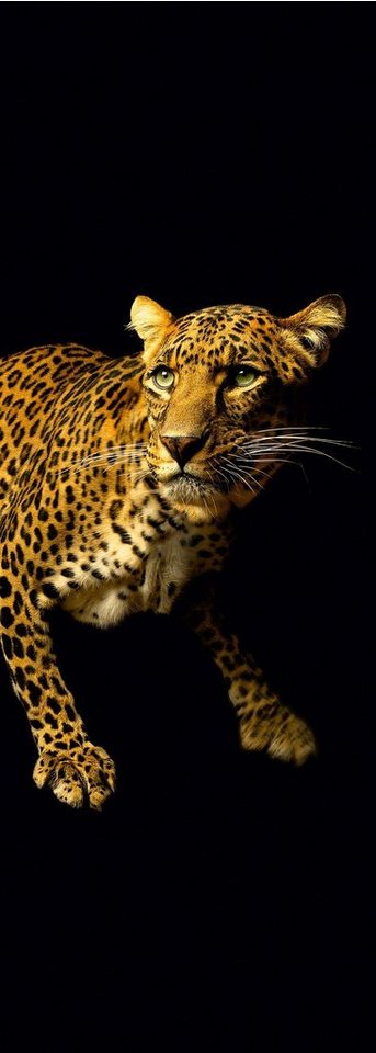 A.S. Création Fototapete A.S. Création XXL 5 Fototapete, Leopard, 1m x 2,8m A.S. Création Fototapete A.S. Création XXL 5 Fototapete, Leopard, 1m x 2,8m von A.S. Création