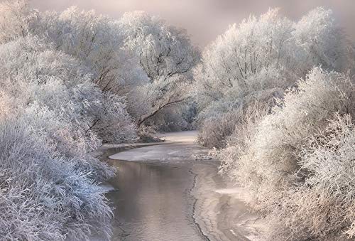 A.S. Création Fototapete - Frozen Forrest Vliestapete See Wald Baum Schwarz Weiß - 384 x 260 cm XXL Wandtapete Wandbild A.S. Création Fototapete - Frozen Forrest Vliestapete See Wald Baum Schwarz Weiß - 384 x 260 cm XXL Wandtapete Wandbild von A.S. Création