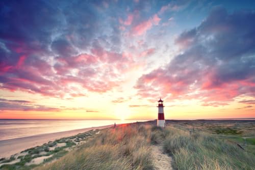 A.S. Création Fototapete Lighthouse 3,75 m x 2,50 m - WALLLOVE Tapete Leuchtturm am Strand in Blau, Grün inkl. Kleister - DD129573 von A.S. Création