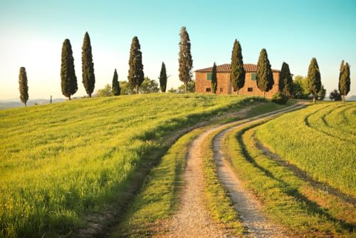 A.S. Création Fototapete Toscana 3,75 m x 2,50 m - WALLLOVE Tapete Feld mit Bäumen in Grün, Braun, Blau inkl. Kleister - DD129579 A.S. Création Fototapete Toscana 3,75 m x 2,50 m - WALLLOVE Tapete Feld mit Bäumen in Grün, Braun, Blau inkl. Kleister - DD129579 von A.S. Création