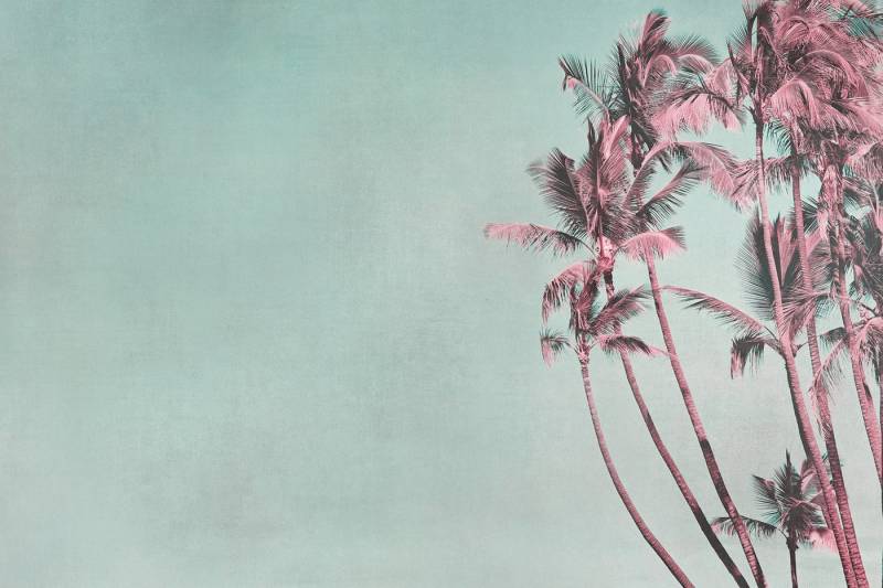 A.S. Création Leinwandbild Leinwand Tropical Breeze 60 x 40 cm von A.S. Création