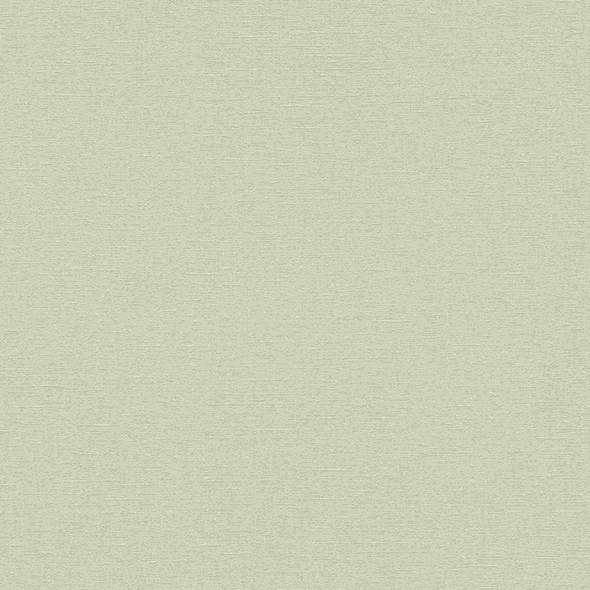 A.S. Creation | Natural Living | 376035 | Vliestapete | Einfarbig | 10.05 x 0.53 m | Greige A.S. Creation | Natural Living | 376035 | Vliestapete | Einfarbig | 10.05 x 0.53 m | Greige von A.S. Creation