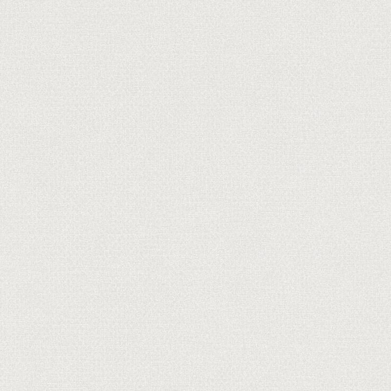 A.S. Creation | Natural Living | 386626 | Vliestapete | Einfarbig | 10.05 x 0.53 m | Grau von A.S. Creation