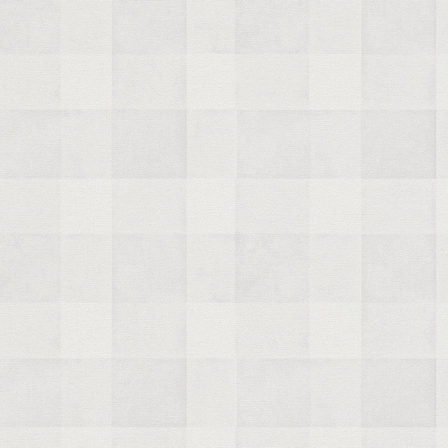 A.S. Creation | Natural Living | 386644 | Vliestapete | Muster & Motive | 10.05 x 0.53 m | Grau A.S. Creation | Natural Living | 386644 | Vliestapete | Muster & Motive | 10.05 x 0.53 m | Grau von A.S. Creation