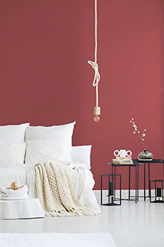 A.S. Création Unitapete Attractive Tapete einfarbig unifarben Vliestapete rot matt glatt 378317 A.S. Création Unitapete Attractive Tapete einfarbig unifarben Vliestapete rot matt glatt 378317 von A.S. Création