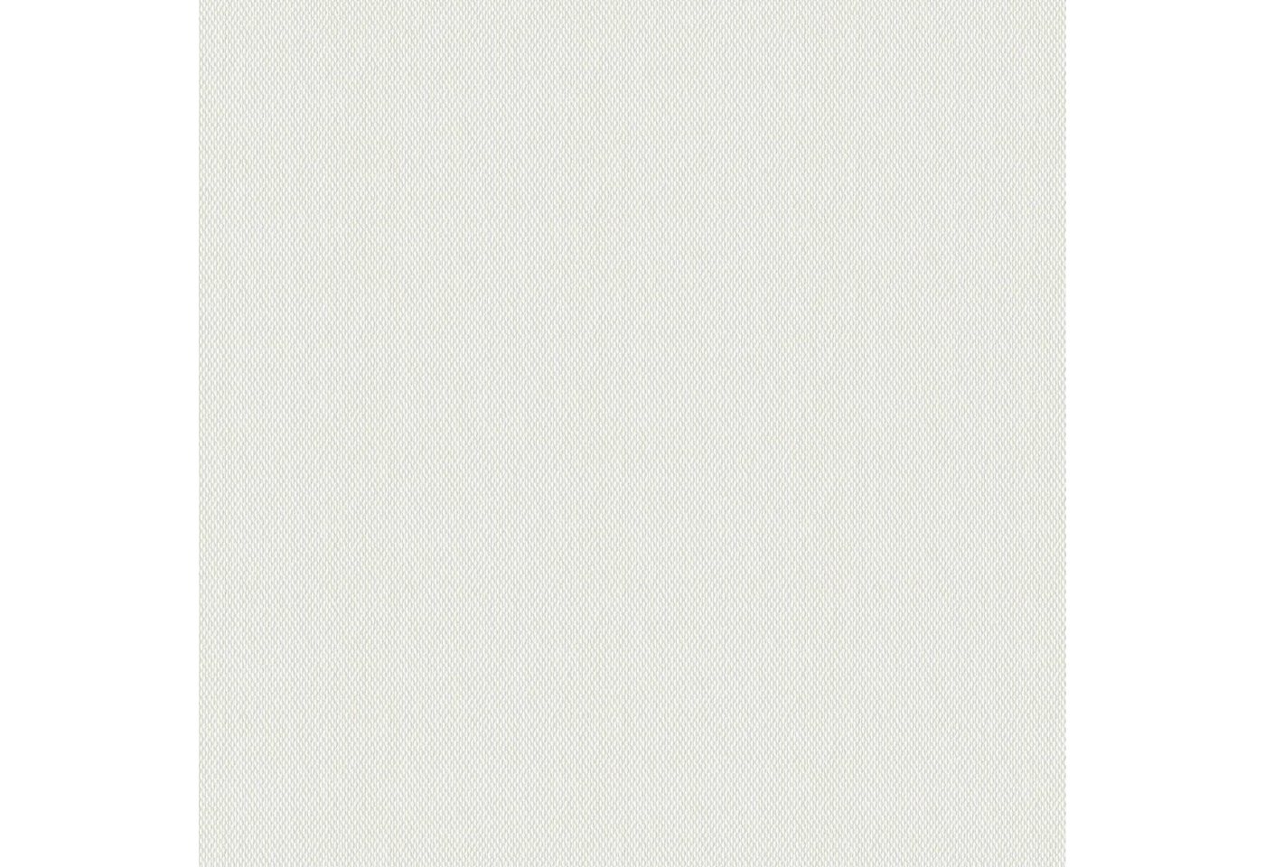 A.S. Création Glasfasergewebe A.S. Création Glasfasertapete T1010C A.S. Création Glasfasergewebe A.S. Création Glasfasertapete T1010C von A.S. Création