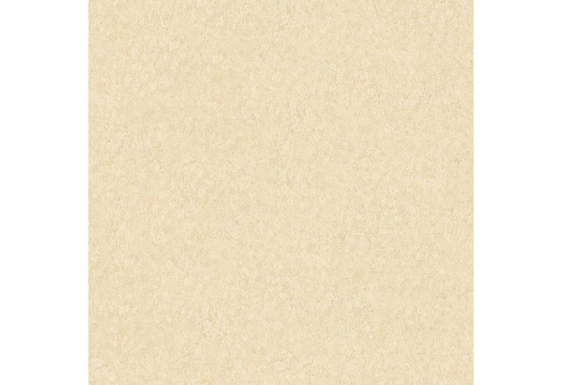 A.S. Création Vliestapete AP Longlife Colours, 301402, Einfarbig, 1.6 x 21 m, Beige A.S. Création Vliestapete AP Longlife Colours, 301402, Einfarbig, 1.6 x 21 m, Beige von A.S. Création