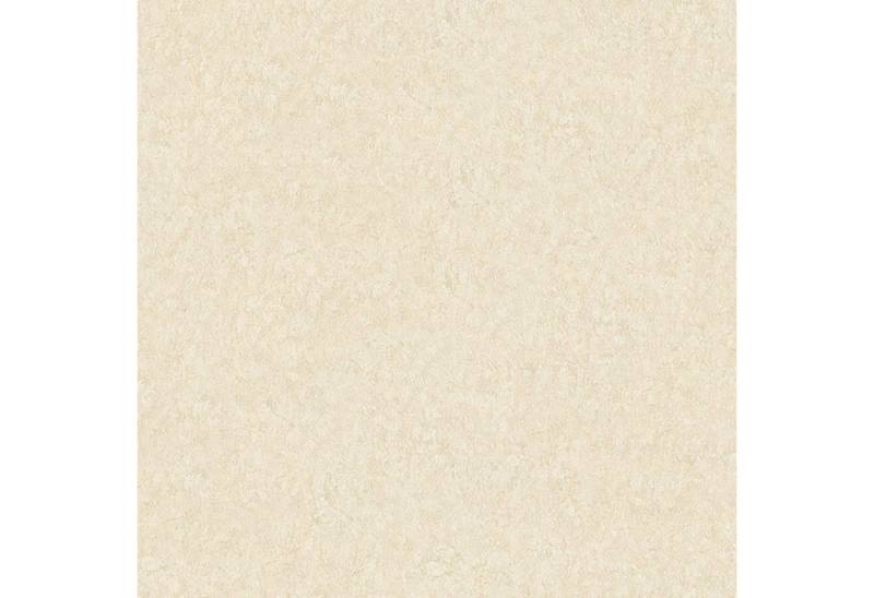 A.S. Création Vliestapete AP Longlife Colours, 301404, Einfarbig, 1.6 x 21 m, Beige A.S. Création Vliestapete AP Longlife Colours, 301404, Einfarbig, 1.6 x 21 m, Beige von A.S. Création