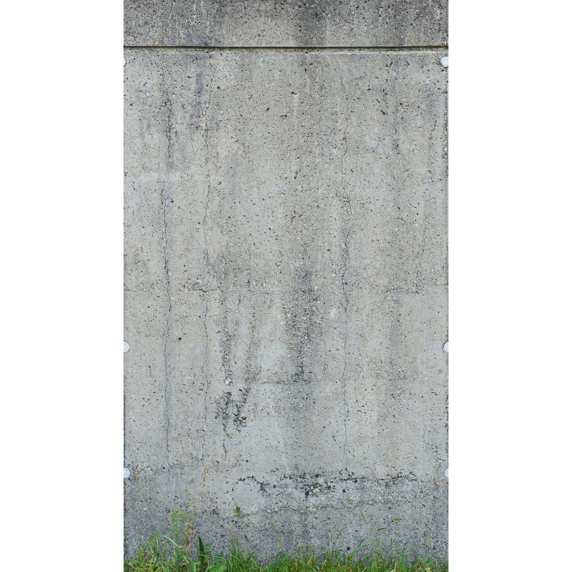 A.S. Création Vliestapete 'The Wall II' Betonwand Gras grau 3-teilig 1,59 x 2,80 m A.S. Création Vliestapete 'The Wall II' Betonwand Gras grau 3-teilig 1,59 x 2,80 m von A.S. Création