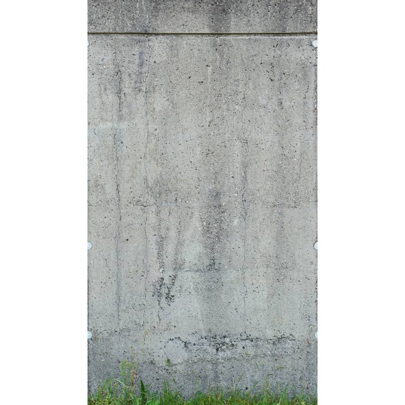A.S. Création Vliestapete 'The Wall II' Betonwand Gras grau 3-teilig 1,59 x 2,80 m von A.S. Création