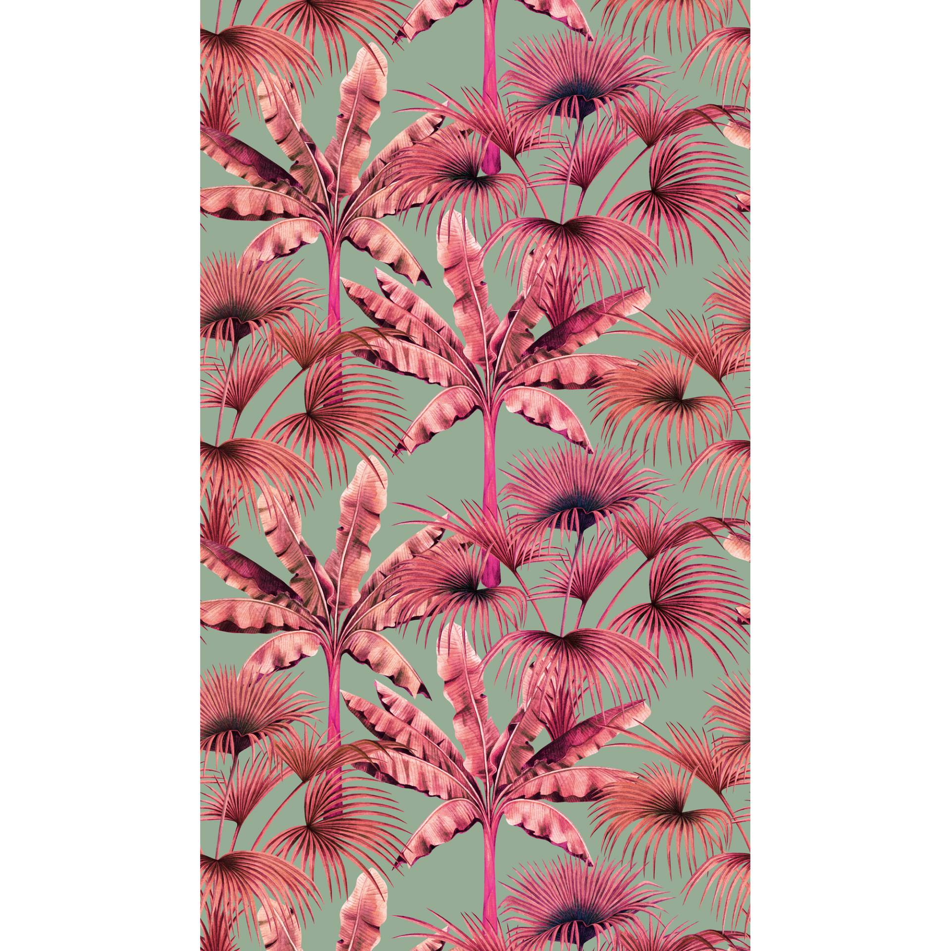A.S. Création Vliestapete 'The Wall II' Palmen pink 3-teilig 1,59 x 2,80 m A.S. Création Vliestapete 'The Wall II' Palmen pink 3-teilig 1,59 x 2,80 m von A.S. Création
