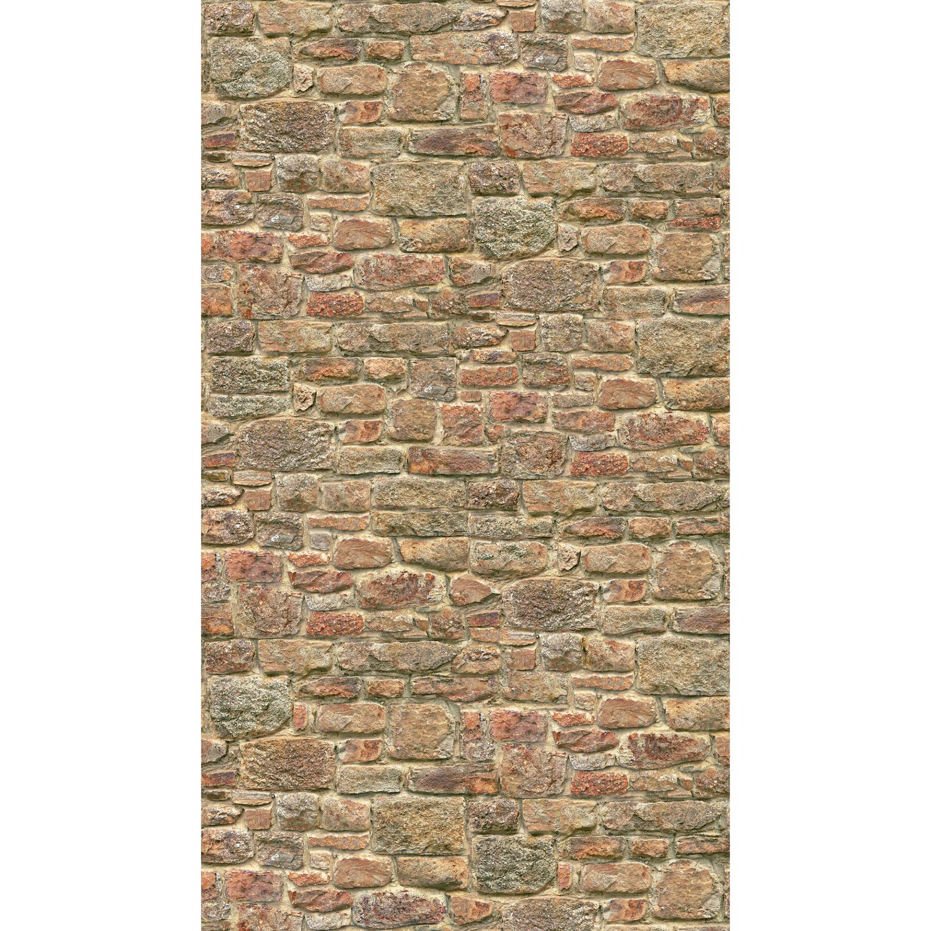 A.S. Création Vliestapete 'The Wall II' Stein Natur orange 3-teilig 1,59 x 2,80 m A.S. Création Vliestapete 'The Wall II' Stein Natur orange 3-teilig 1,59 x 2,80 m von A.S. Création