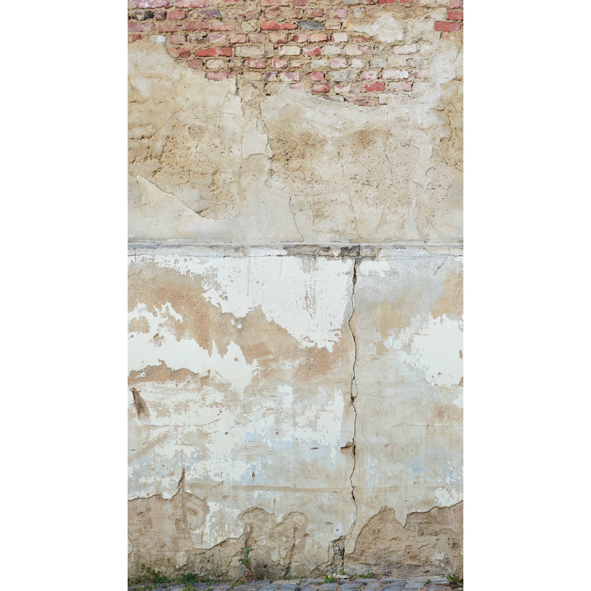 A.S. Création Vliestapete 'The Wall II' Vintage Beton grau 3-teilig 1,59 x 2,80 m A.S. Création Vliestapete 'The Wall II' Vintage Beton grau 3-teilig 1,59 x 2,80 m von A.S. Création